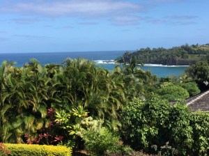 The view from the deck!