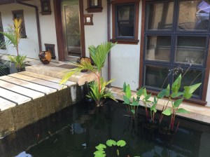 The walkway over the Koi pond to the front door.