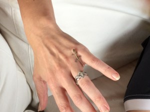 And a close up - I LOVE Geckos!