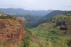 We stopped at this lookout prior to Waimea Canyon - thank goodness, since the rain started shorter after this!