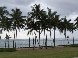 Our view at breakfast.