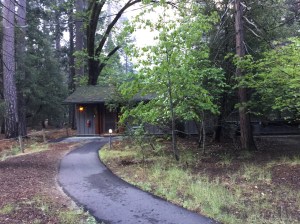 Our cabin - it is large inside, with a big bed, couch, a small table and chairs, along with a separate bathroom.