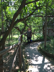 Me walking through the garden.