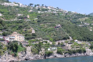 There are orchards and gardens on all those terraces.