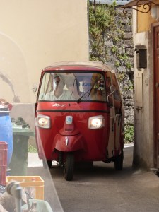 We rode from the orchard to the restaurant and then to the farm in the little carts built on scooters. The steering is a scooter steering wheel!