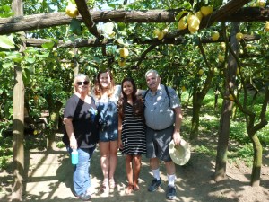 Here we are at the lemon orchard.