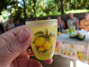 We tasted limoncello made on site in these cute little glasses!