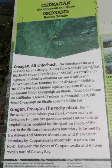 47EC5B7B-F347-45BC-B2F1-B1CABD466AC6