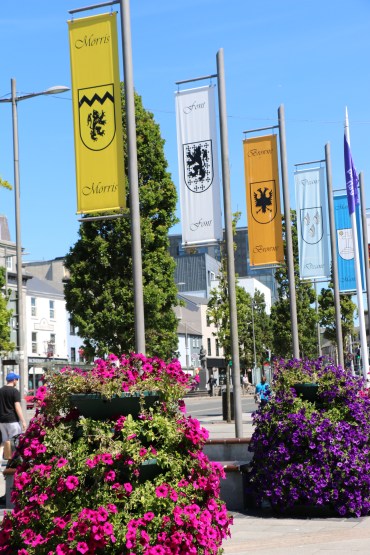 E8412B74-0758-44D4-983C-861F1CF8B3E1