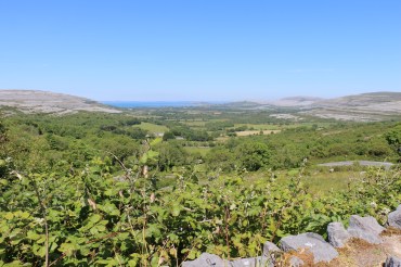 E8EEB3BC-0364-4AD0-B9E3-86D31DA5A3C9