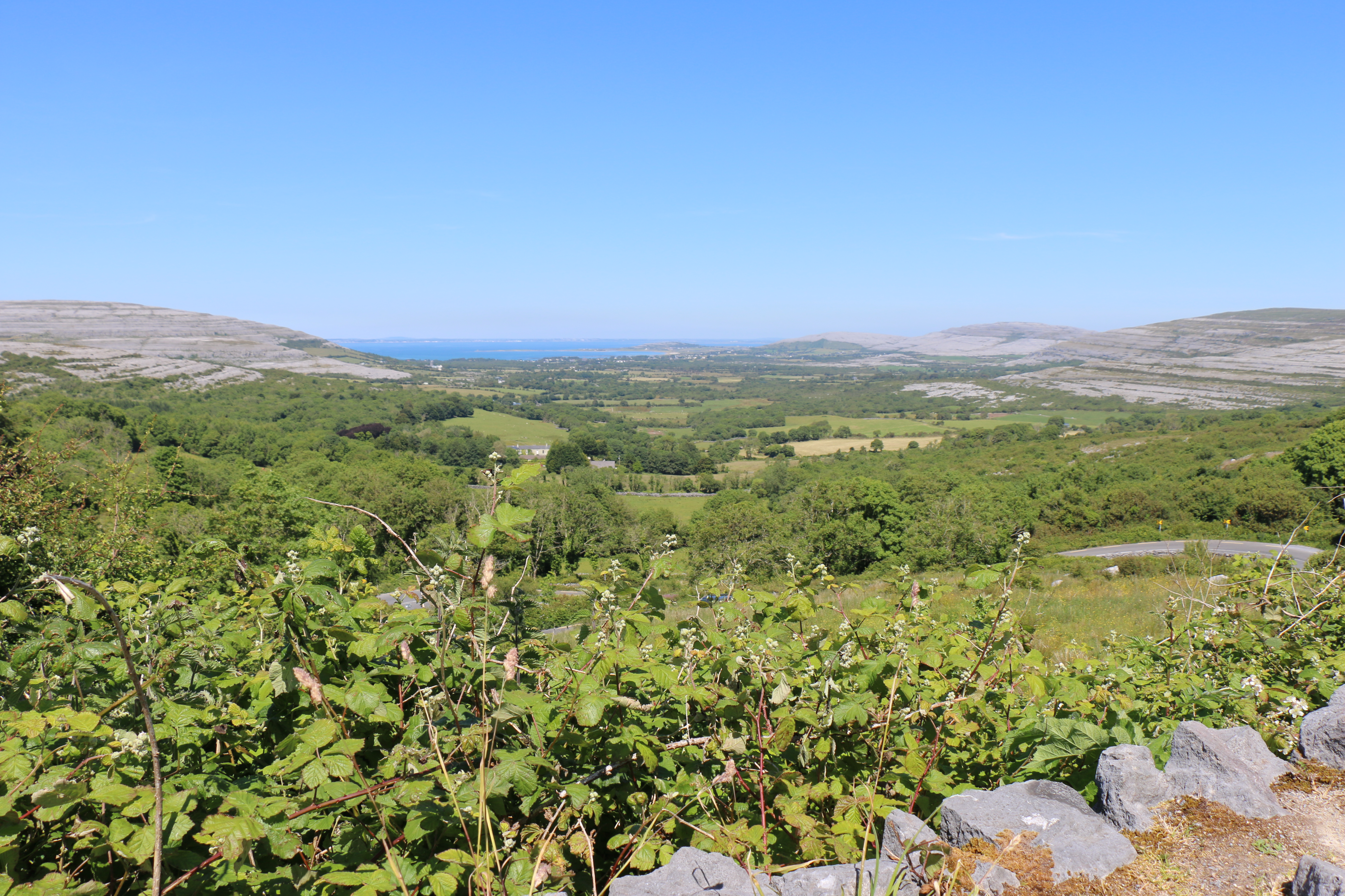 E8EEB3BC-0364-4AD0-B9E3-86D31DA5A3C9