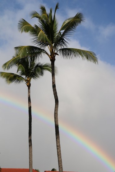 0EAD5C61-271F-45E8-A218-849CEBF22BA4