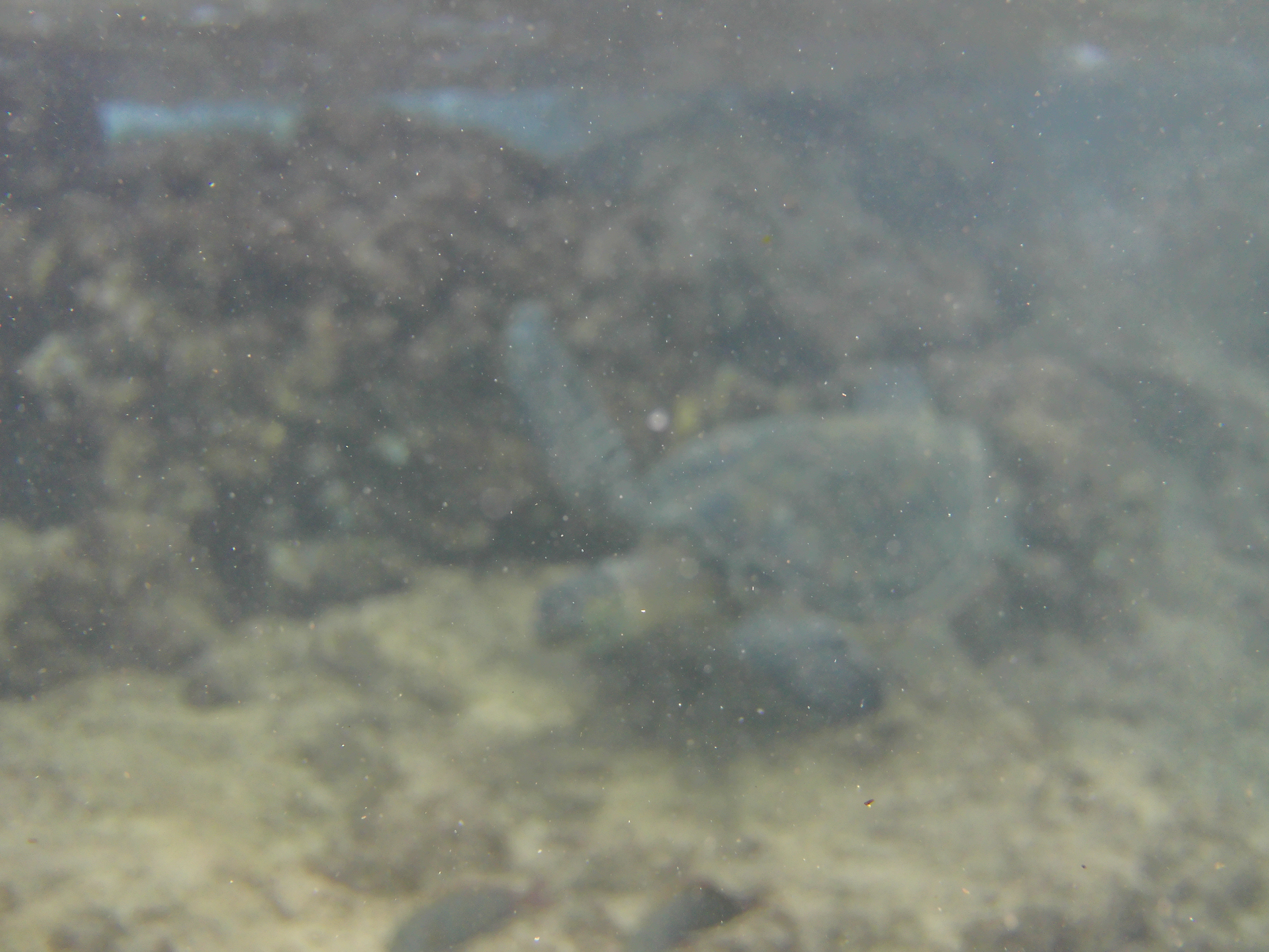 1F6022BB-B316-4476-912D-2446E9782C94