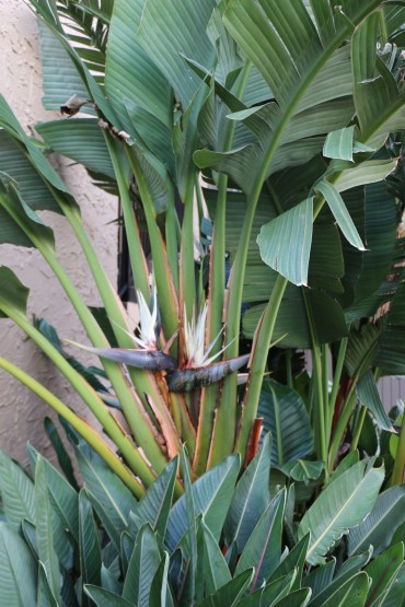 318A9BB0-BE1D-4759-B5A8-E5EF9FB9BAD6