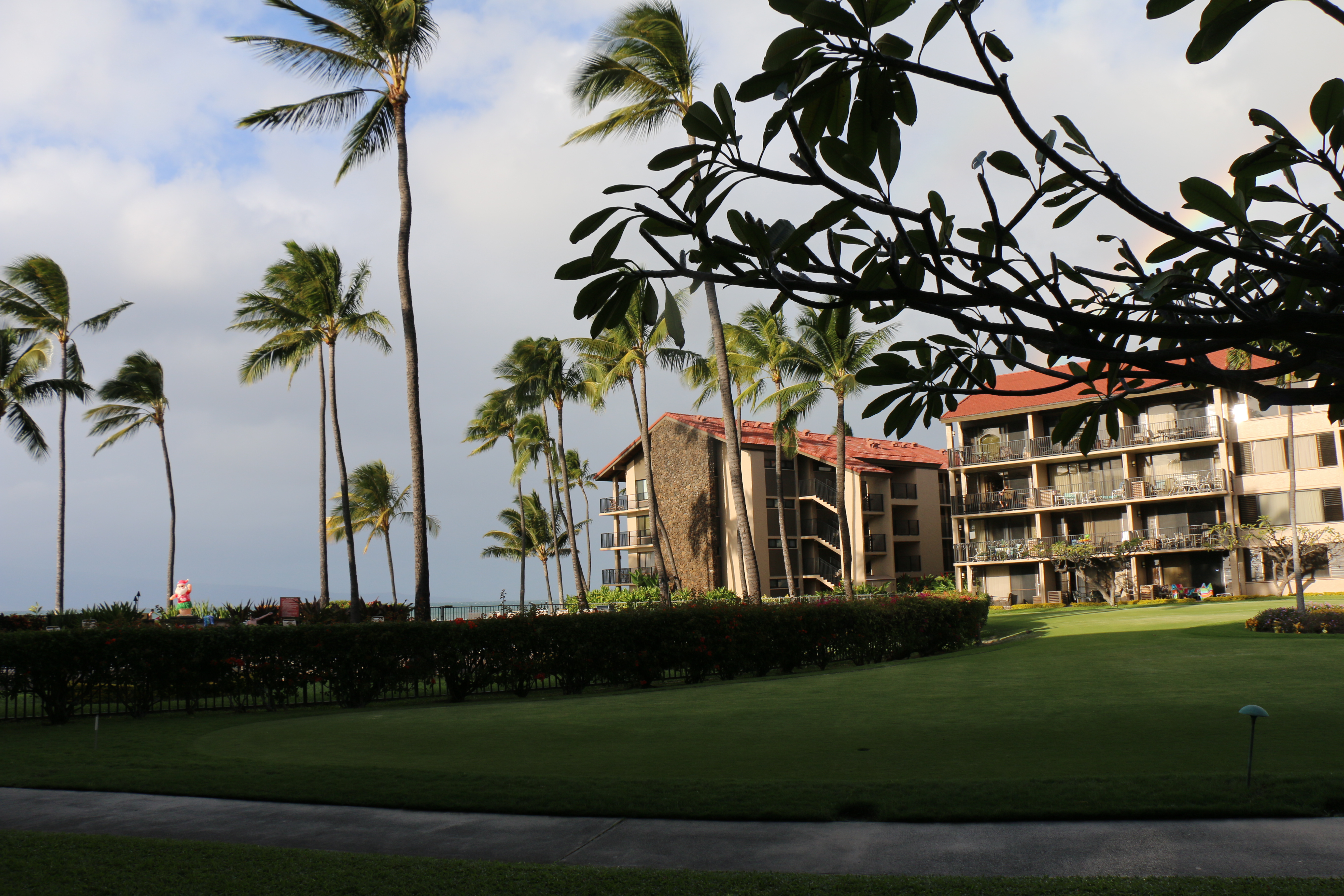 3FD921CE-FED6-41E1-8368-4D6EC106B1A3