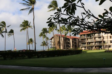 3FD921CE-FED6-41E1-8368-4D6EC106B1A3