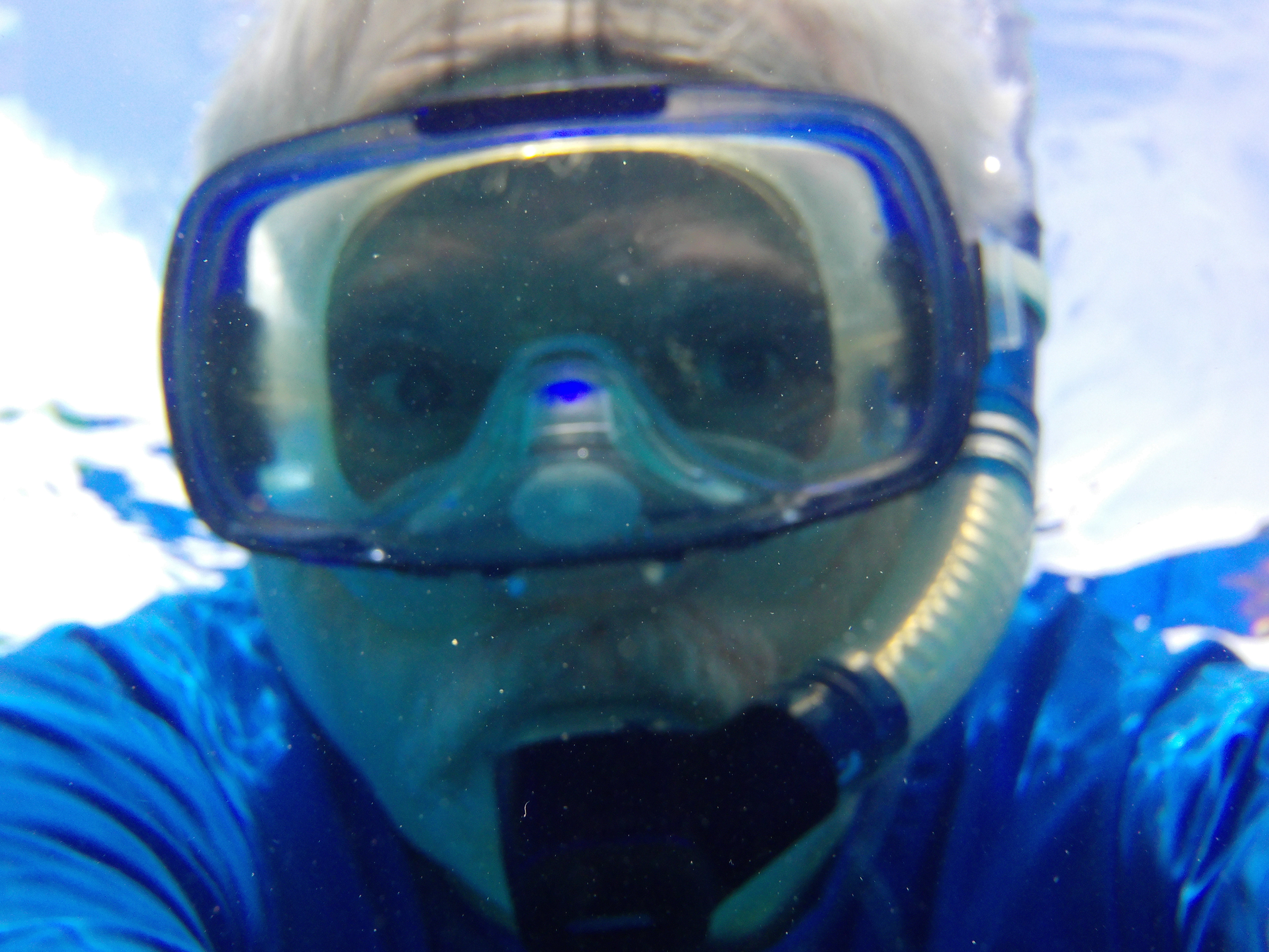 B35BD75E-134B-41C6-8CC6-3FA0598EC2B2