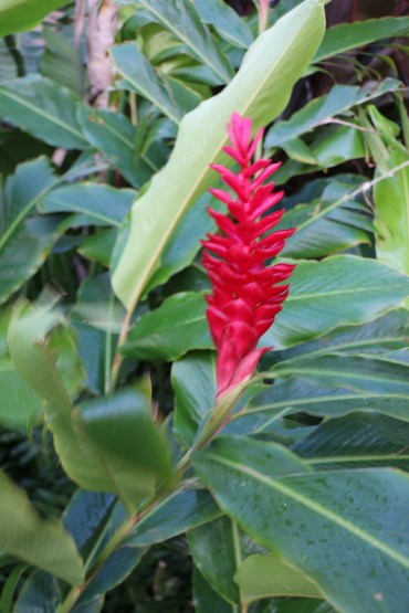 BB111C8D-A4C9-4F0A-8A1A-030F09D5F1C1