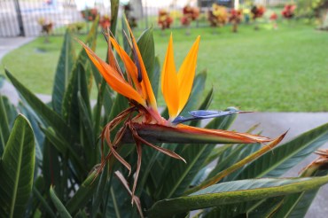 CC0F02F8-C8A9-4810-A088-A5A1755861F4