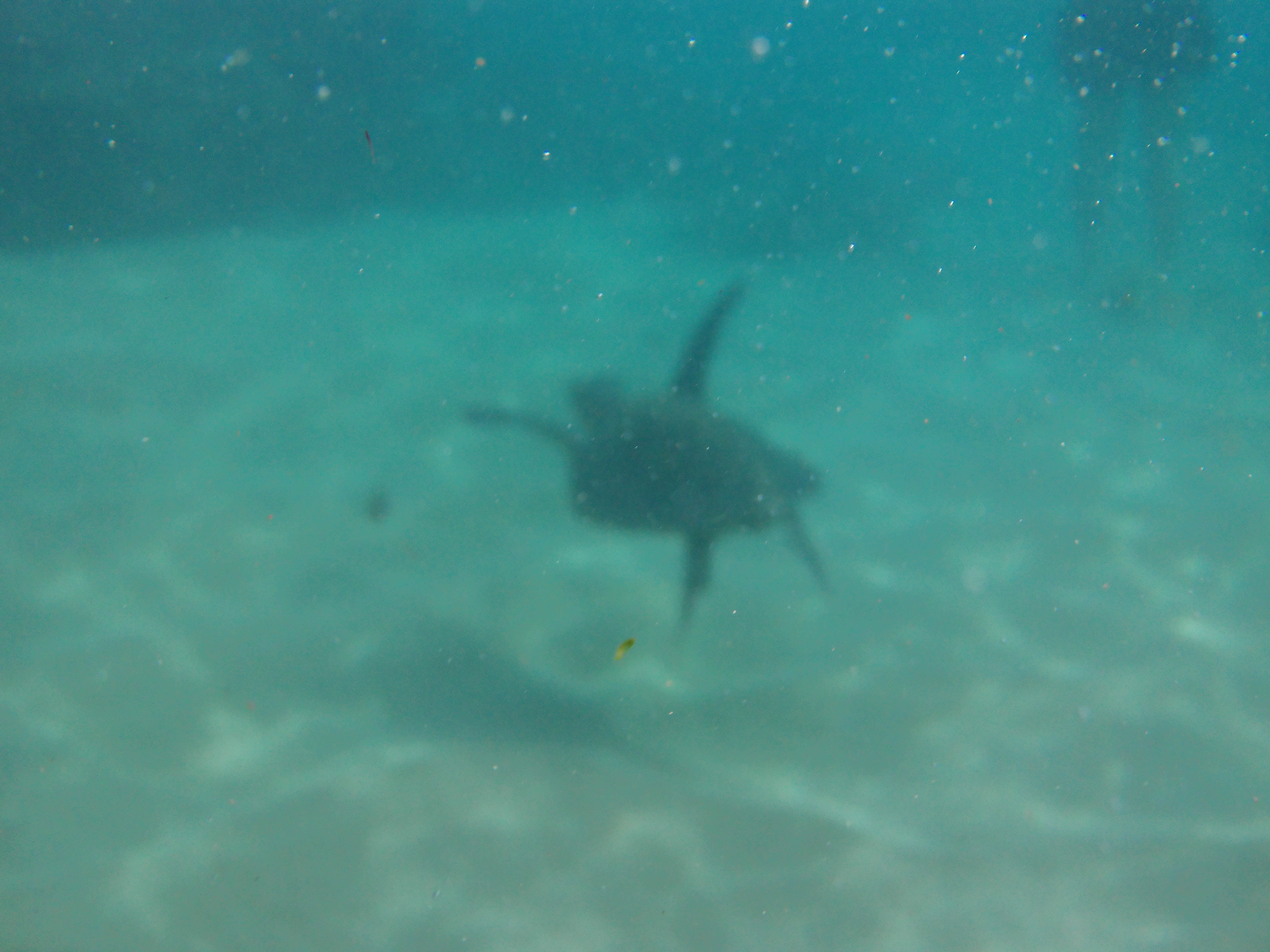 E60AF4C7-9779-4901-B1E9-398988D3D4A8