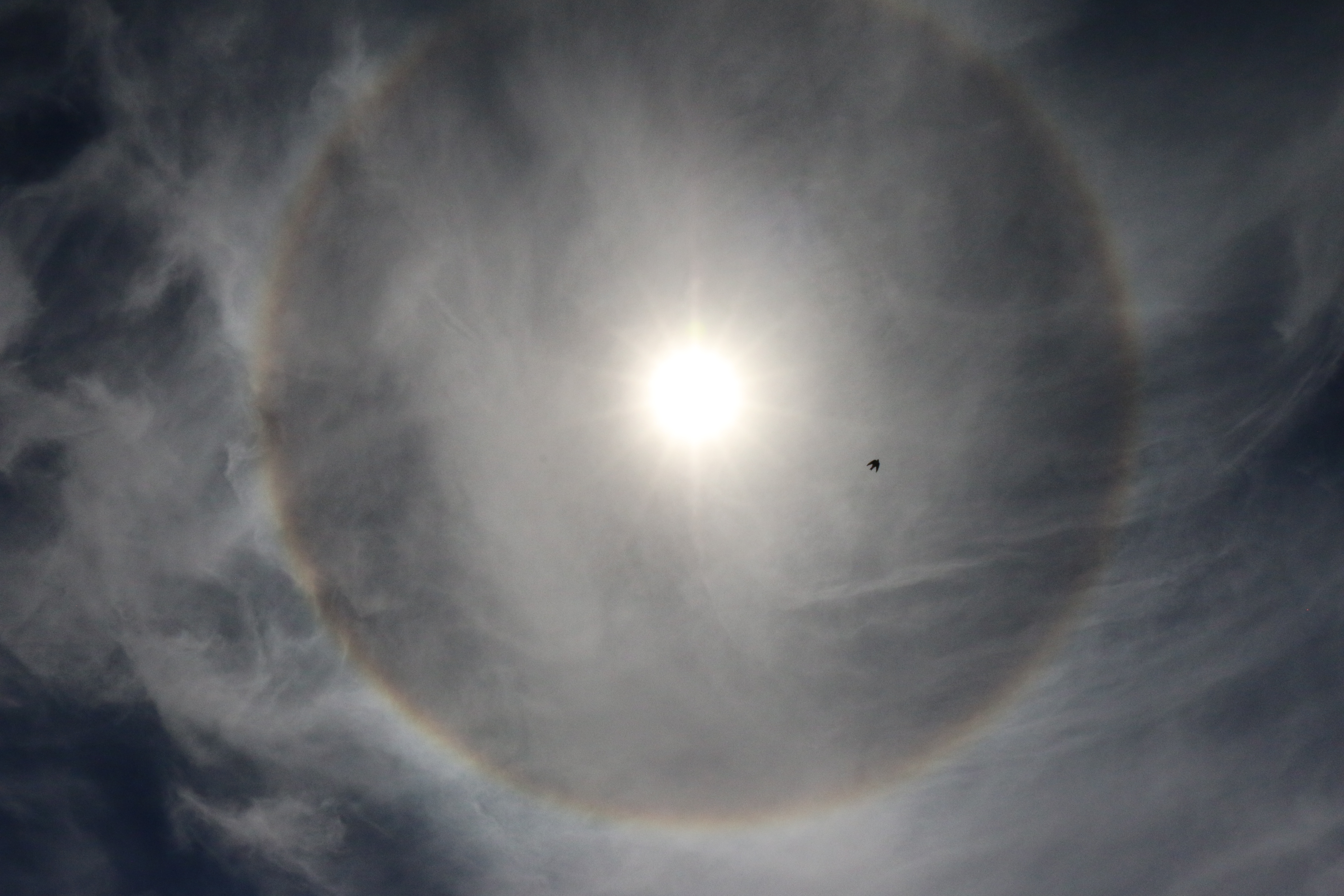 89CC271E-EDF8-4277-A13A-FBFCF9D1AB01