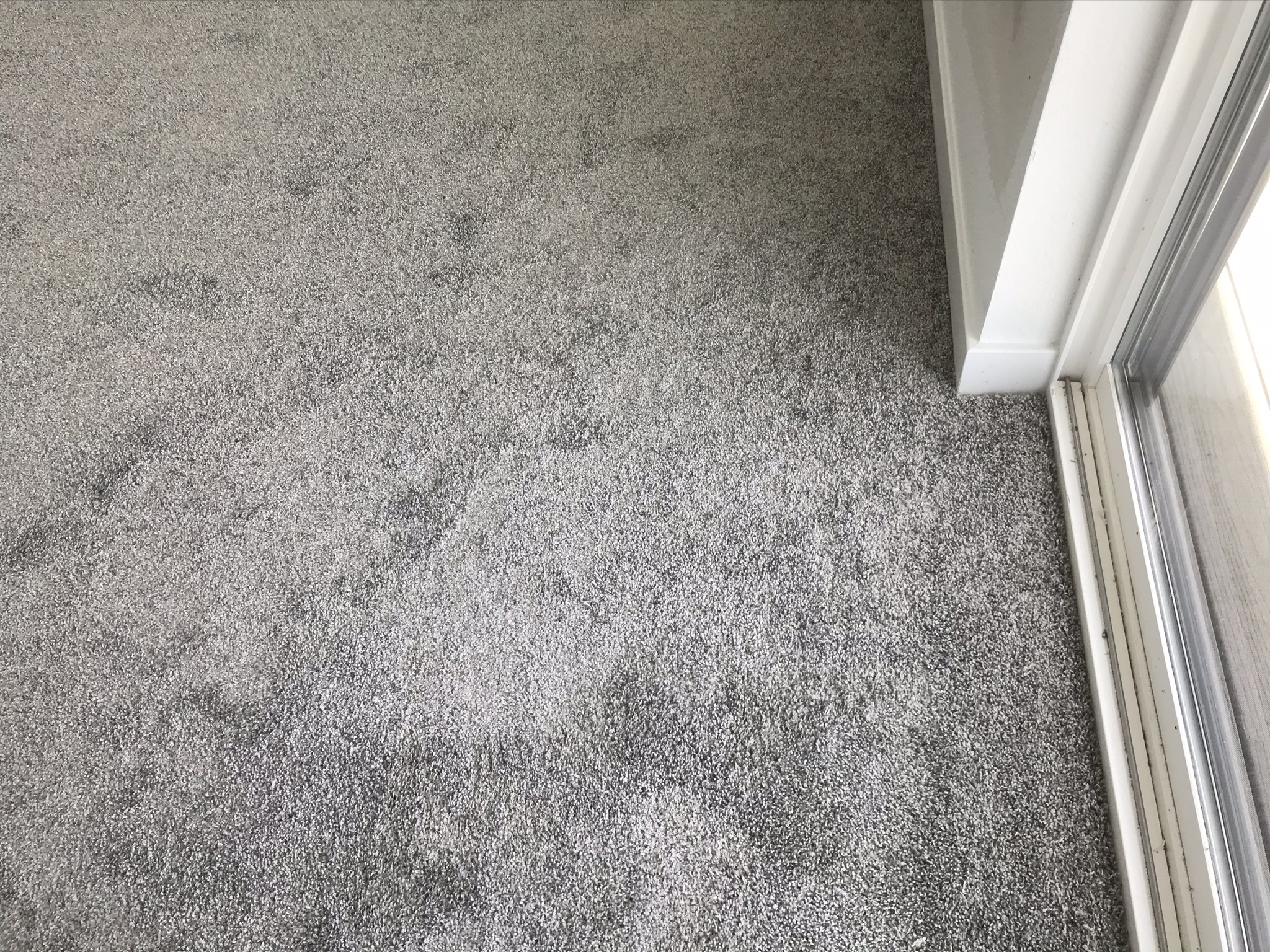 F3C5A1D5-6F53-49C2-94C0-3E4743ED1FB2